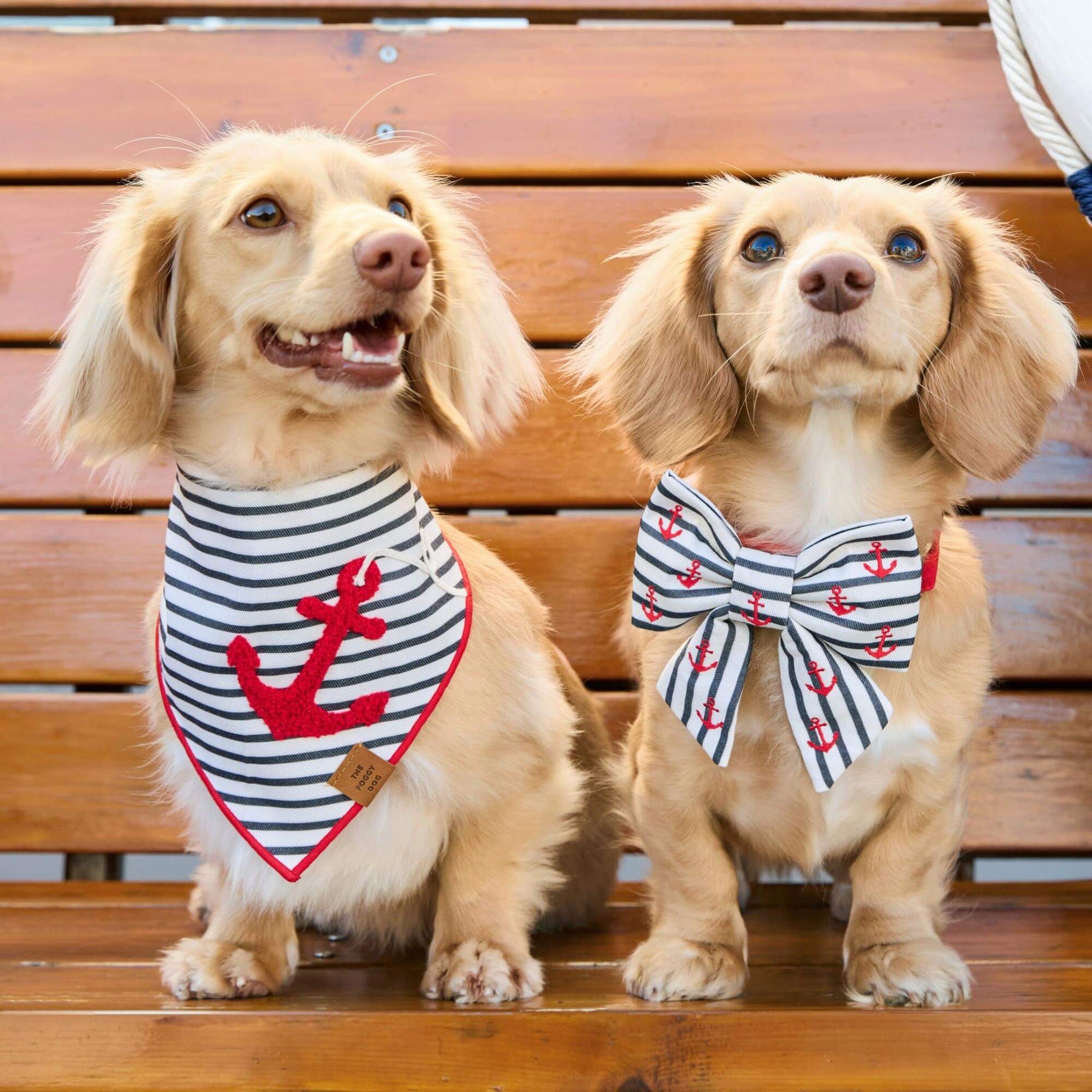 The Foggy Dog - Bandana Dog Anchor Away Applique