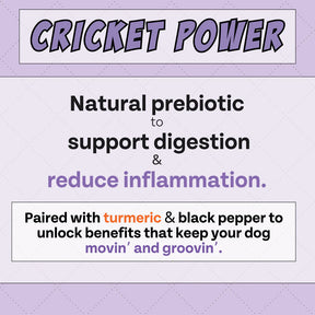Chippin - Antioxidant (Banana-Cricket-Blueberry) Dog Treat