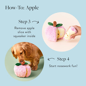 Dog Toy Apple Interactive Snuffle