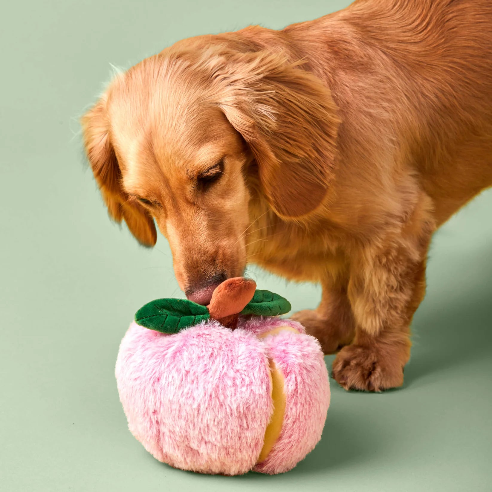 Dog Toy Apple Interactive Snuffle