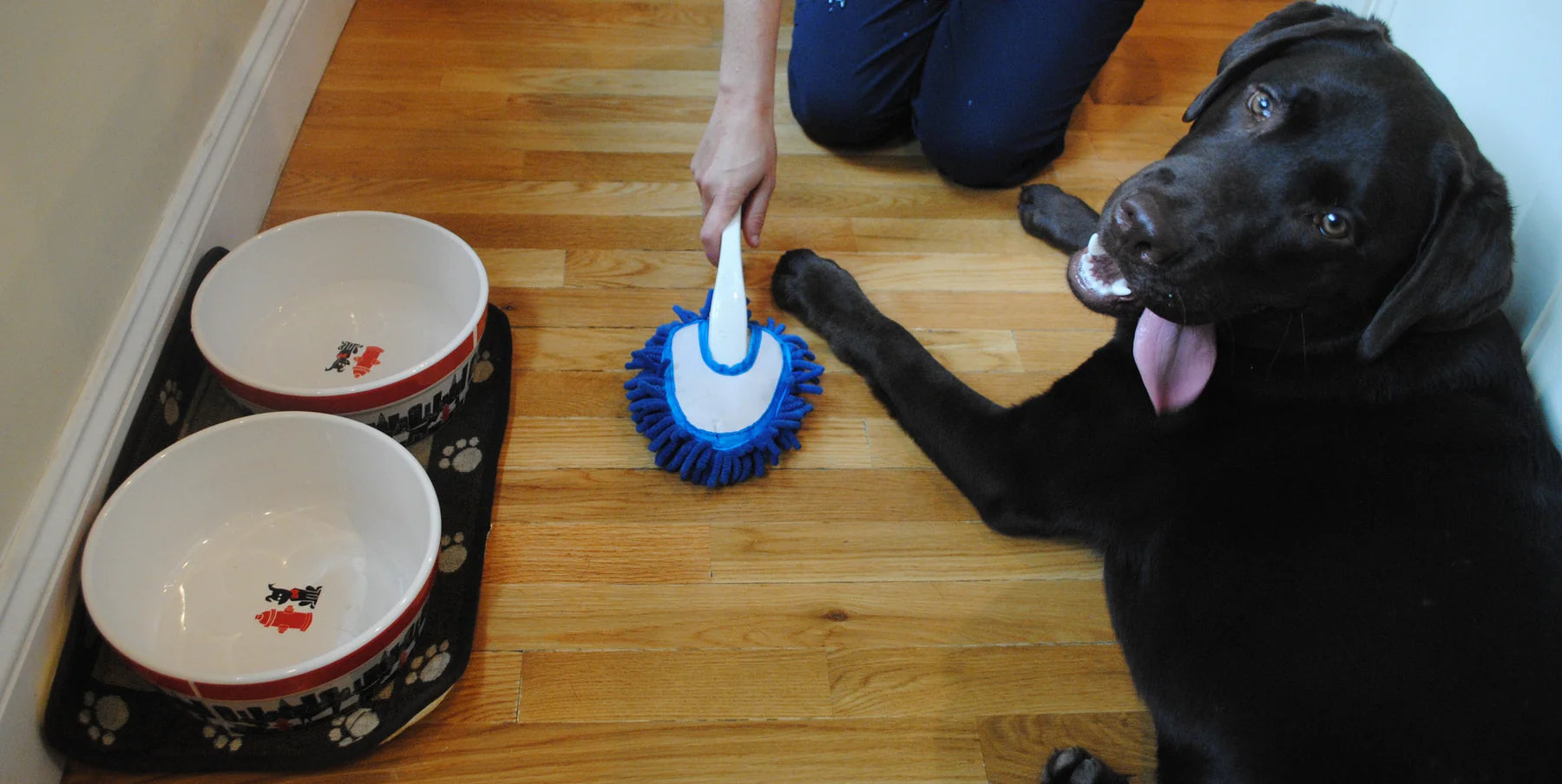 Soggy Doggy Doormat - Soggy Doggy Slobber Swabber