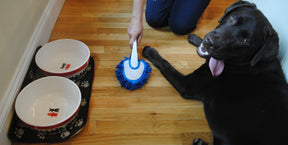 Soggy Doggy Doormat - Soggy Doggy Slobber Swabber