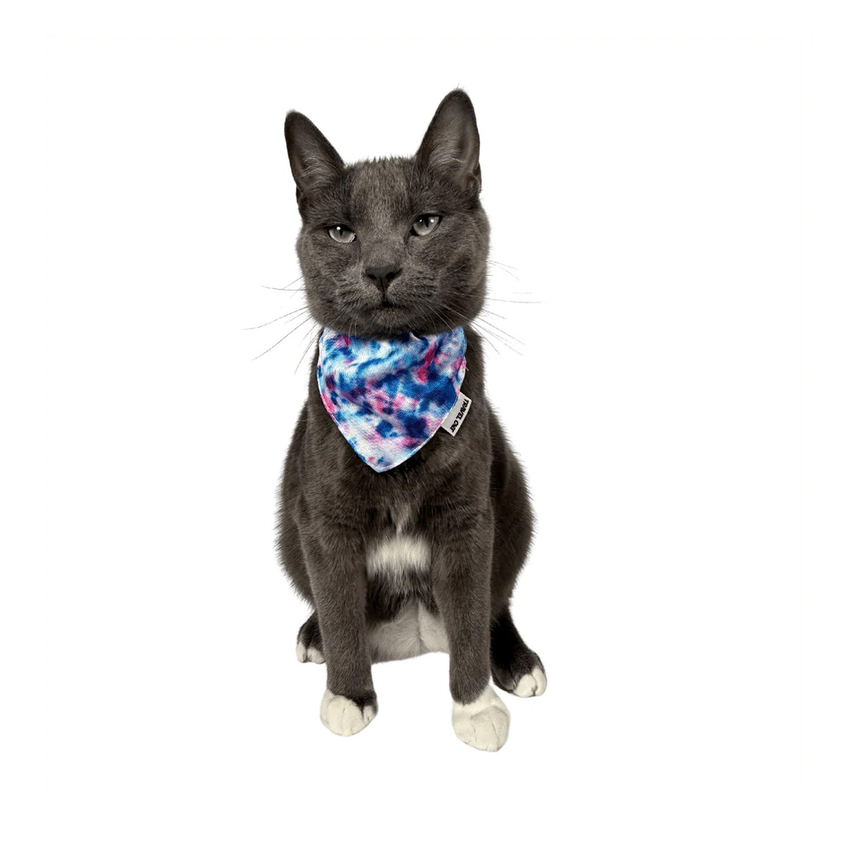 The Groovy Cat Bandana & Cat Collar