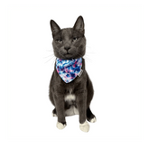 Travel Cat - The Groovy Cat Bandana & Cat Collar