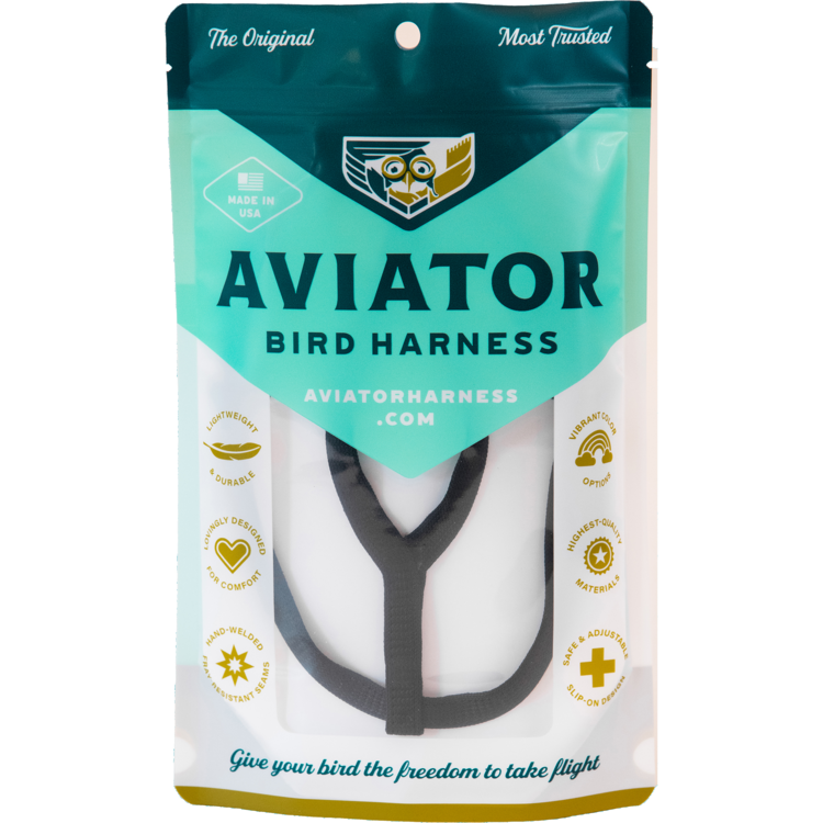 The Aviator - Bird Harness & Leash, Black