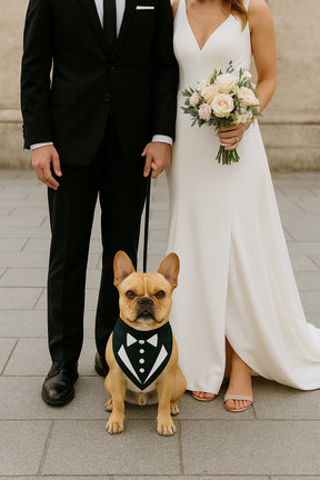 Parisian Pet - Dog Bandana Tuxedo