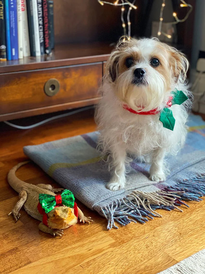 Talking Tables - Christmas Dog Bow Tie