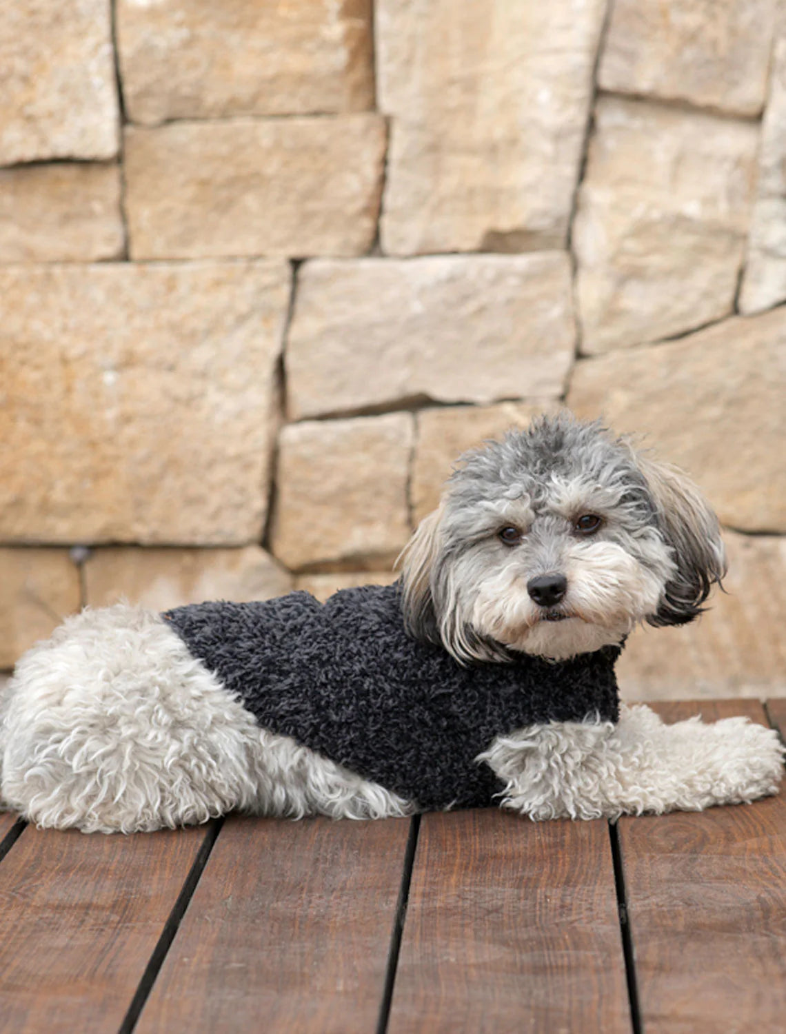 Barefoot Dreams - CozyChic Ribbed Pet Sweater