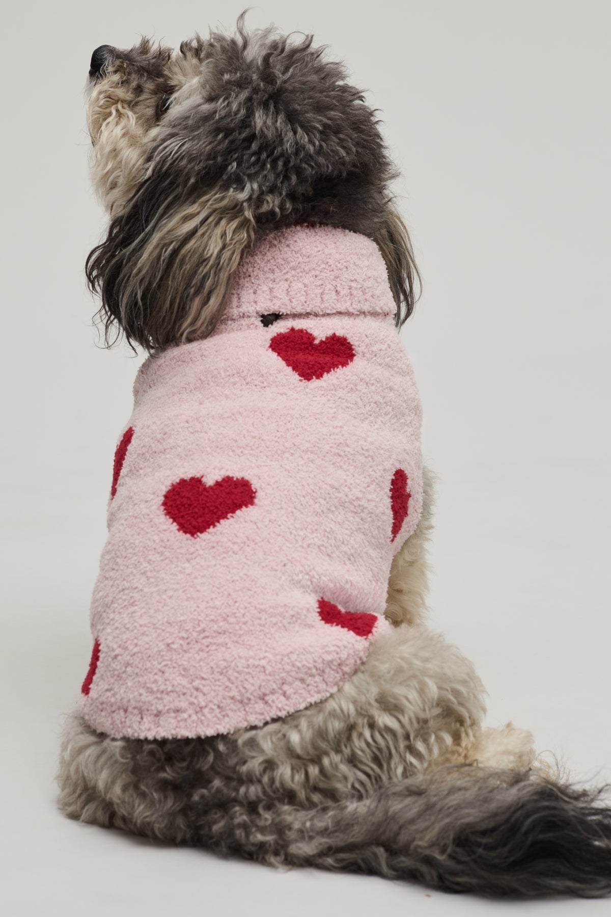 Barefoot Dreams - CozyChic Heart Print Pet Sweater