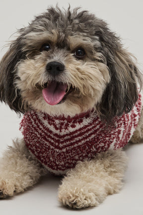 Barefoot Dreams - CozyChic Checkered Stripe Pet Sweater