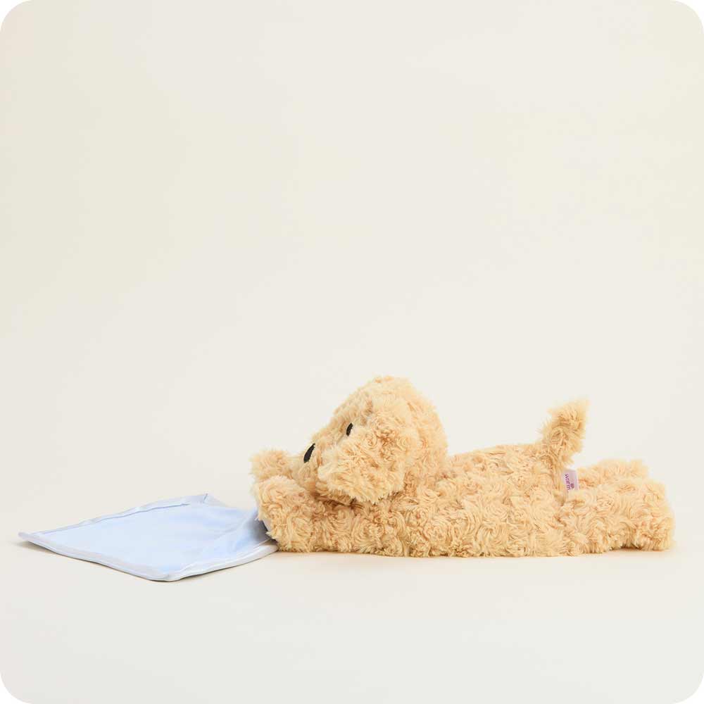 Warmies Blanket Golden Dog