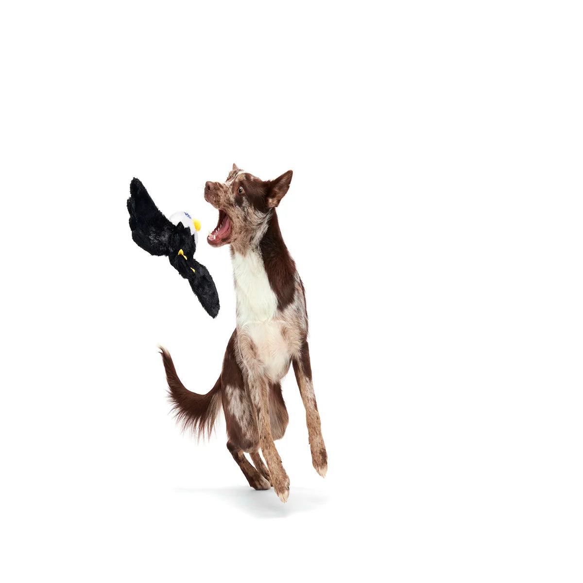 Pet Palette - Bark Bold Eagle American Dog Toy