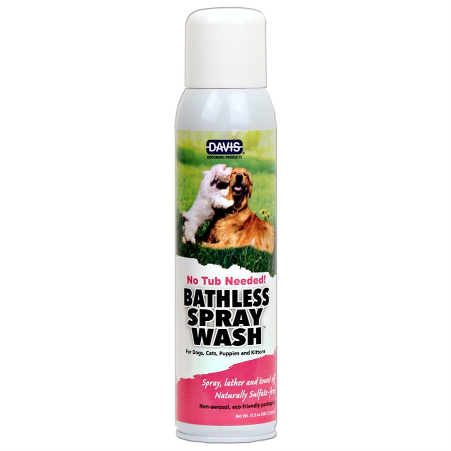 Bathless Spray Wash