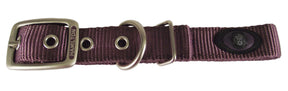 Collar Nylon Double Thick w/ Brushed Nickel Hardware