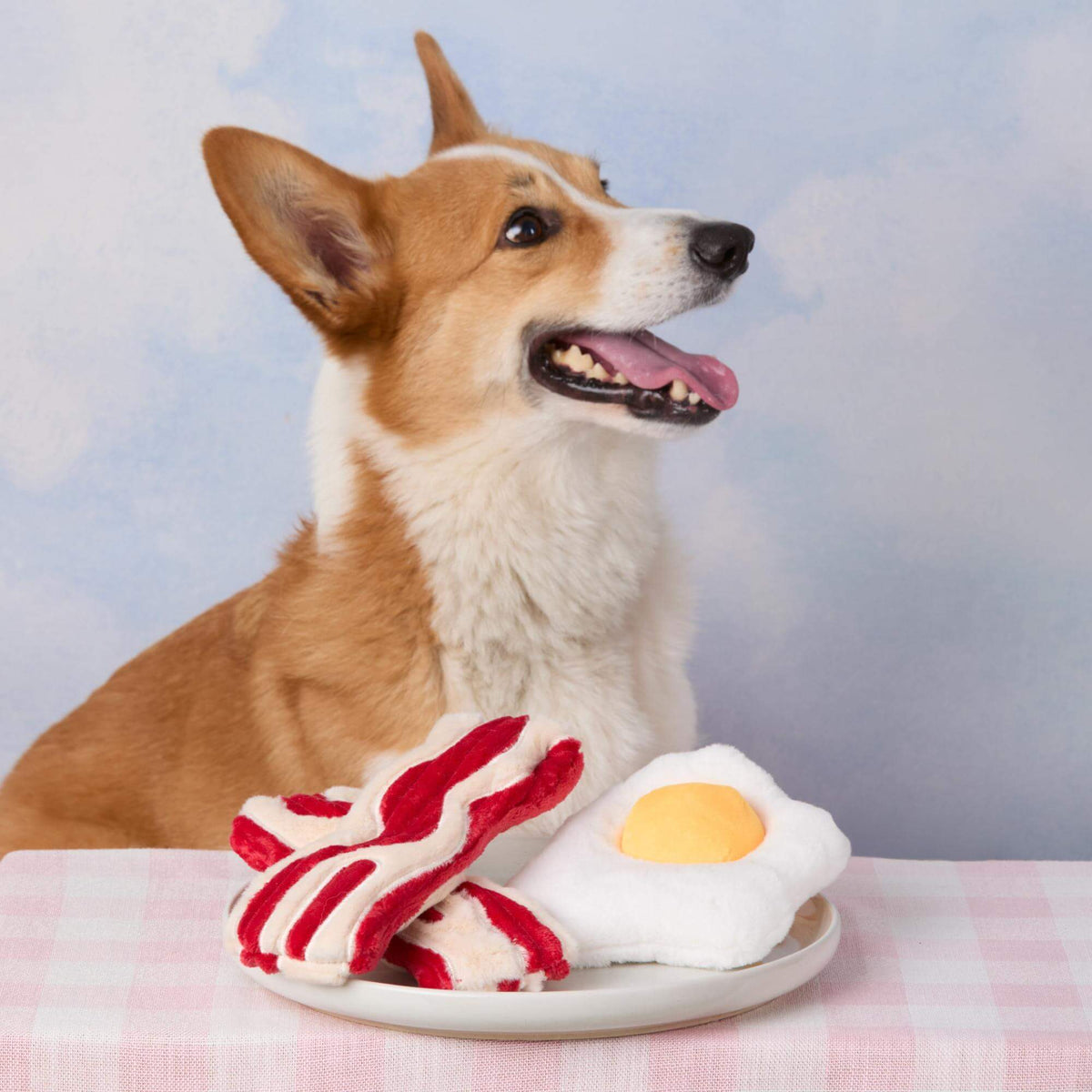 The Foggy Dog - Dog Toy 2 Pc Bacon & Egg