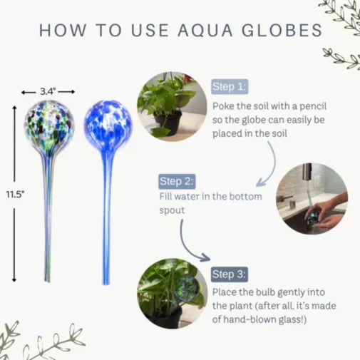 Globes Self Watering Indoor-Outdoor Large Glass