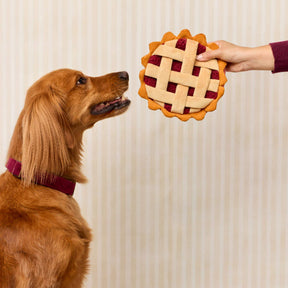 The Foggy Dog - Dog Toy Berry Pie Interactive