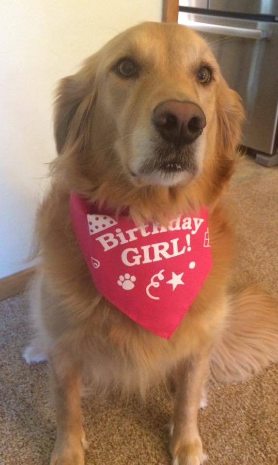 Dog Bandana Birthday Girl