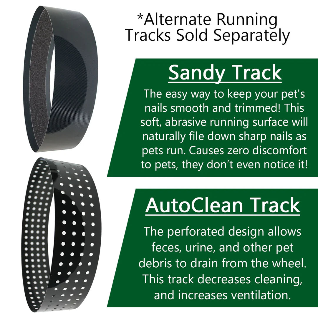 Exotic Nutrition - Sandy Track 12" For Silent Runner