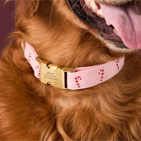 The Foggy Dog - Dog Collar Blush Pink Candy Cane