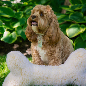 HuggleHounds - Hugglefleece Bone 2' Plush Bone Dog Toy