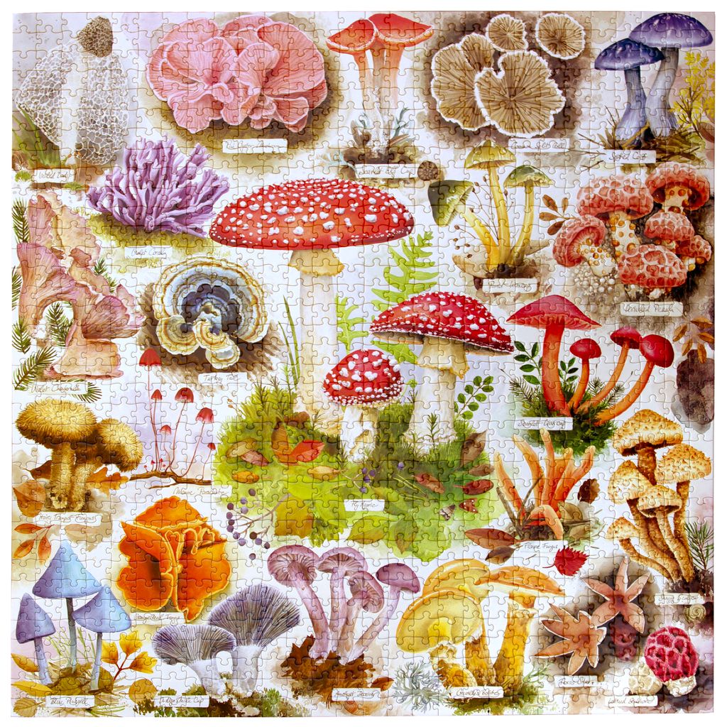 eeBoo - Puzzle Bountiful Mushrooms