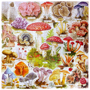eeBoo - Puzzle Bountiful Mushrooms