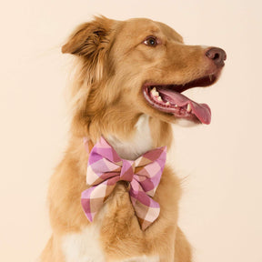 The Foggy Dog - Lady Bow Bramble Flannel