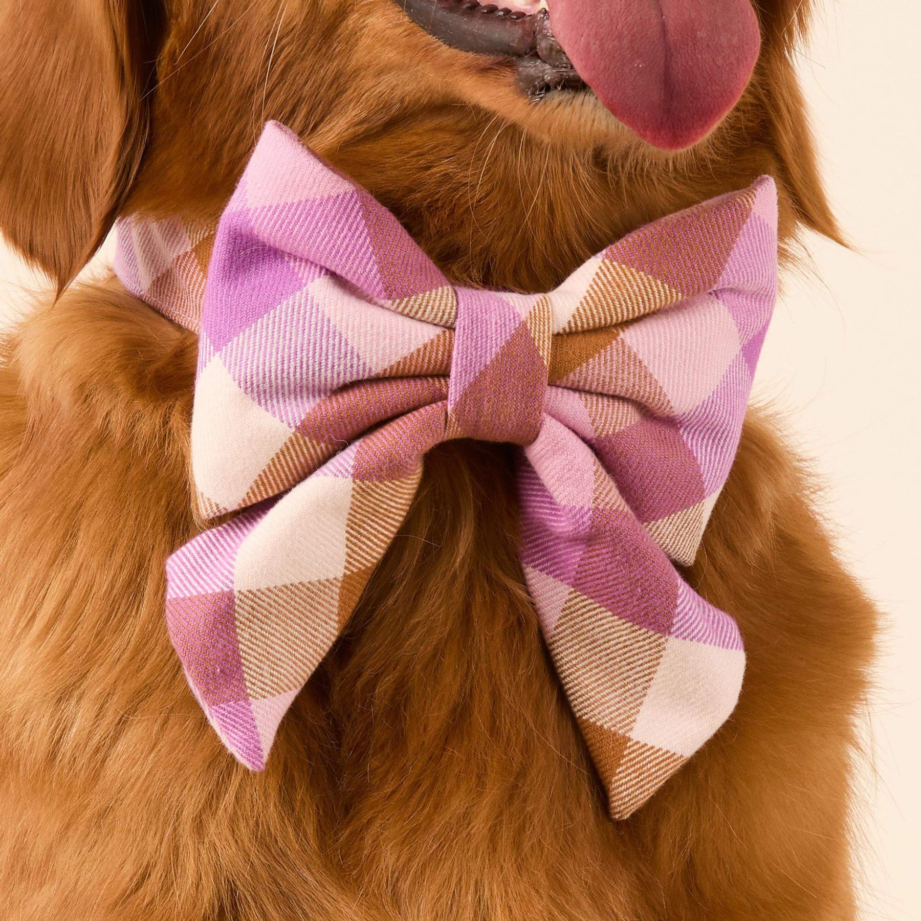 The Foggy Dog - Lady Bow Bramble Flannel