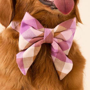 The Foggy Dog - Lady Bow Bramble Flannel