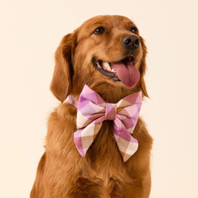 The Foggy Dog - Lady Bow Bramble Flannel
