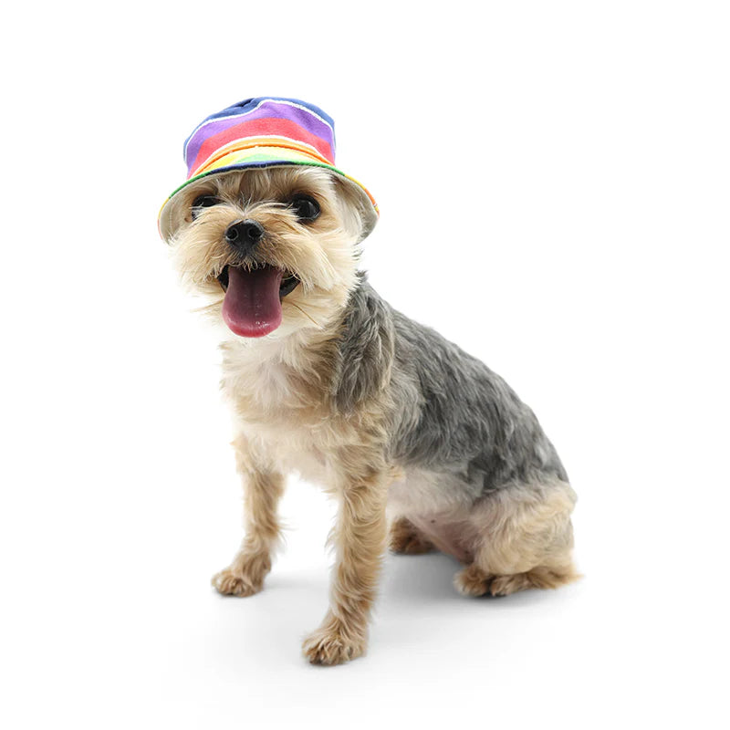 Dogo Pet - Bucket Hat Rainbow