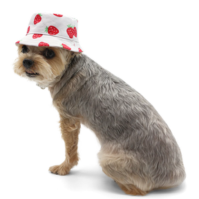 Dogo Pet - Bucket Hat Strawberry