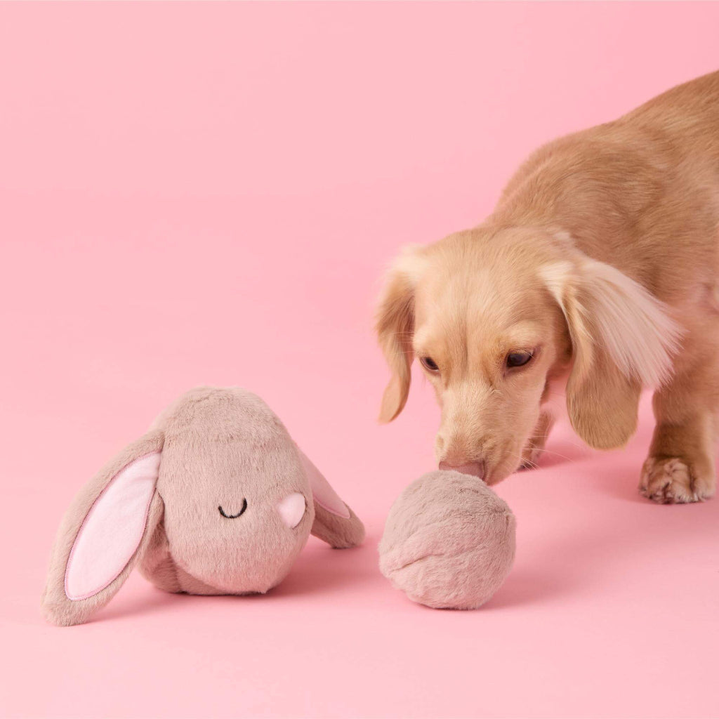 Foggy Dog - Dog Toy Bounce Bunny 2-In-1