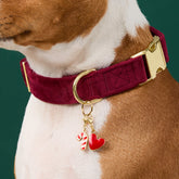 The Foggy Dog - Collar Charm Candy Cane