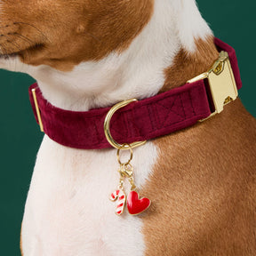The Foggy Dog - Collar Charm Candy Cane