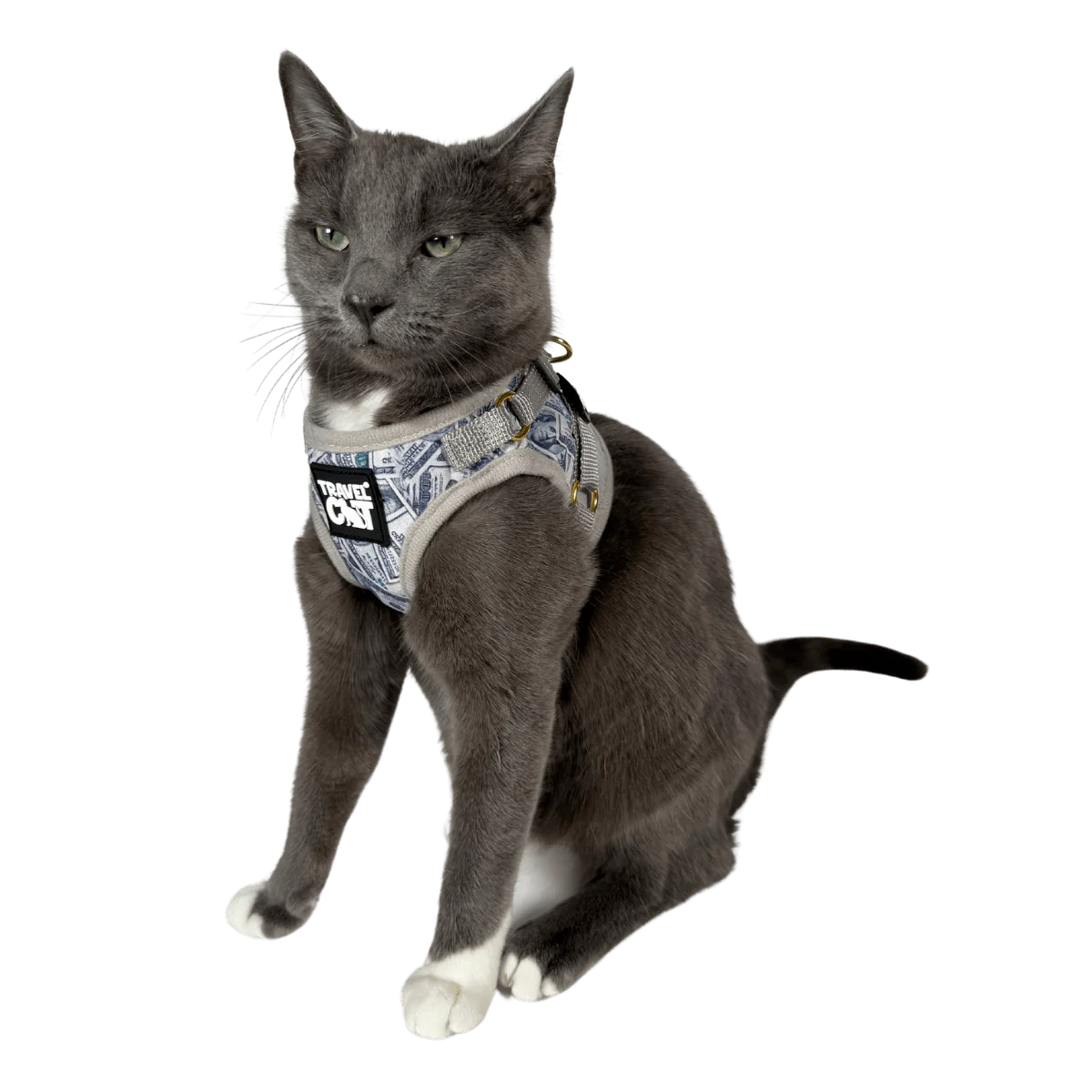 Harness & Leash Set - "Cash Cat"
