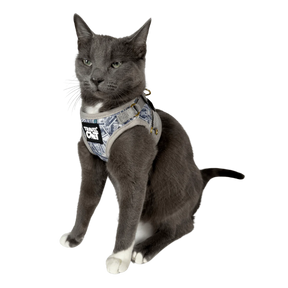 Harness & Leash Set - "Cash Cat"