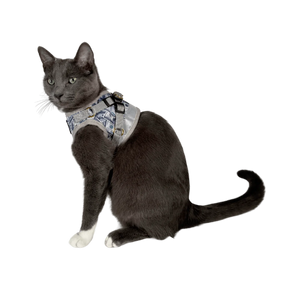 Harness & Leash Set - "Cash Cat"
