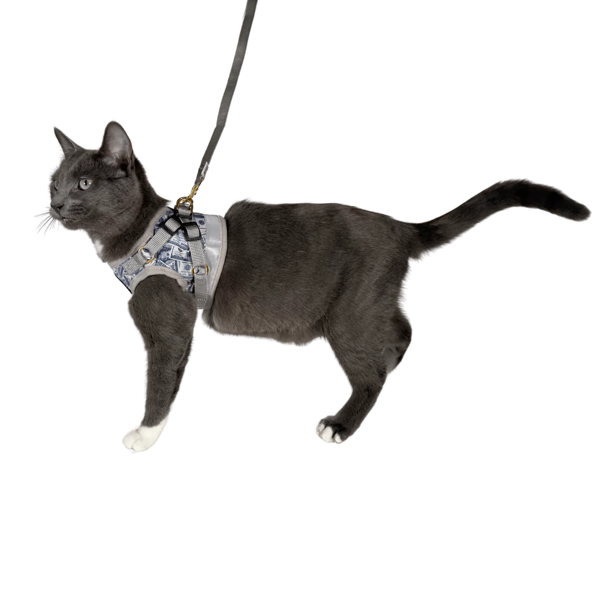 Harness & Leash Set - "Cash Cat"