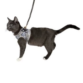 Harness & Leash Set - "Cash Cat"
