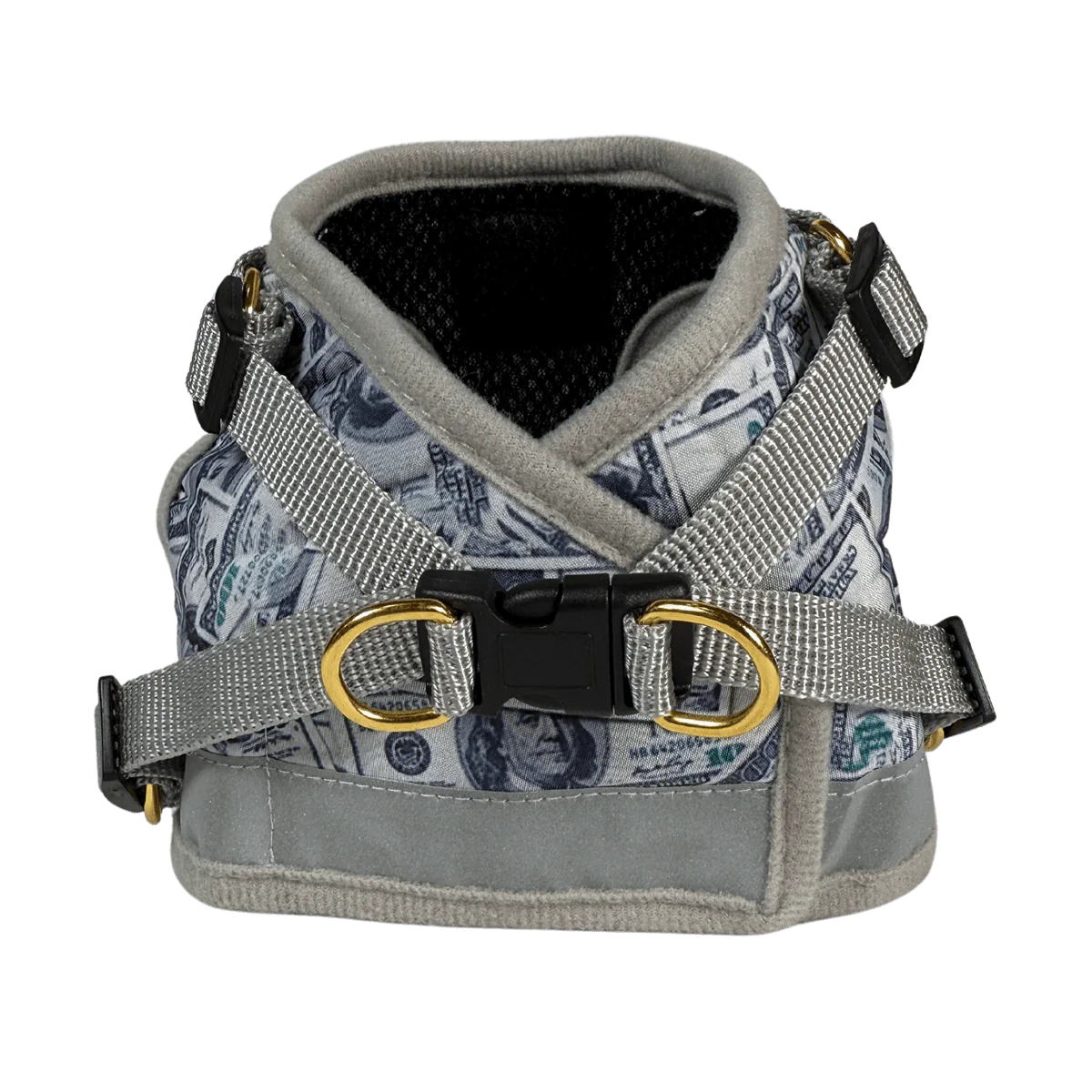 Harness & Leash Set - "Cash Cat"