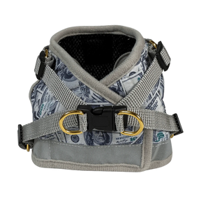 Harness & Leash Set - "Cash Cat"