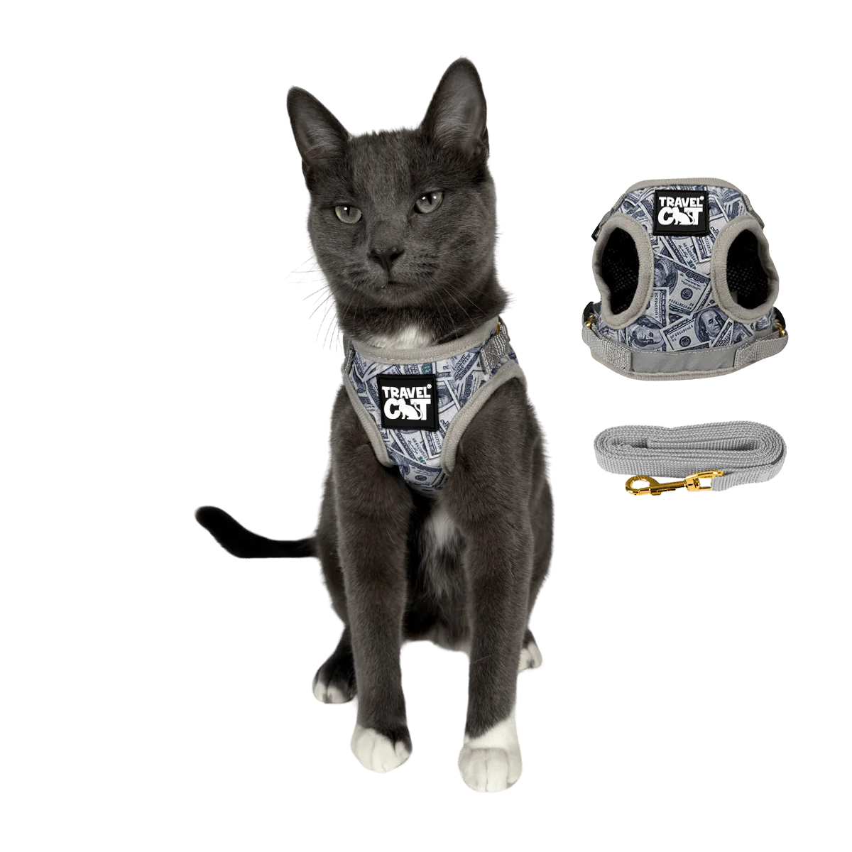 Harness & Leash Set - "Cash Cat"