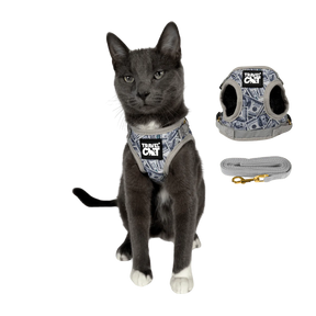 Harness & Leash Set - "Cash Cat"