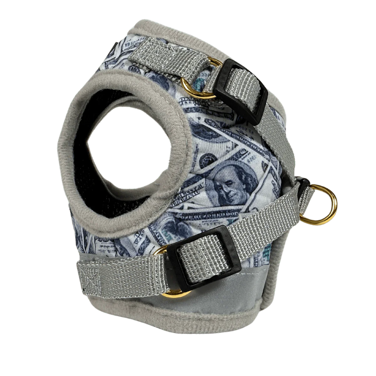 Harness & Leash Set - "Cash Cat"