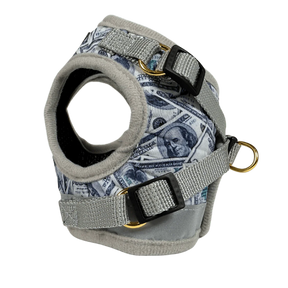 Harness & Leash Set - "Cash Cat"