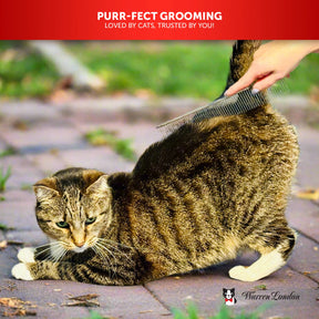 Warren London - Cat DeMatter Pro Max