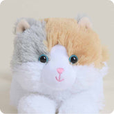 Warmies Cat Calico Junior