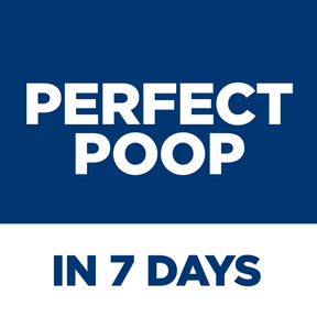 Hill's Science Diet - Adult Perfect Digestion Salmon